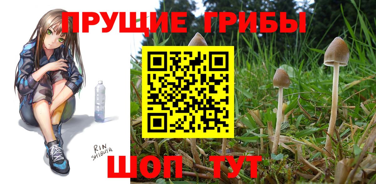 Галлюциногенные грибы прущие грибы Мытищи