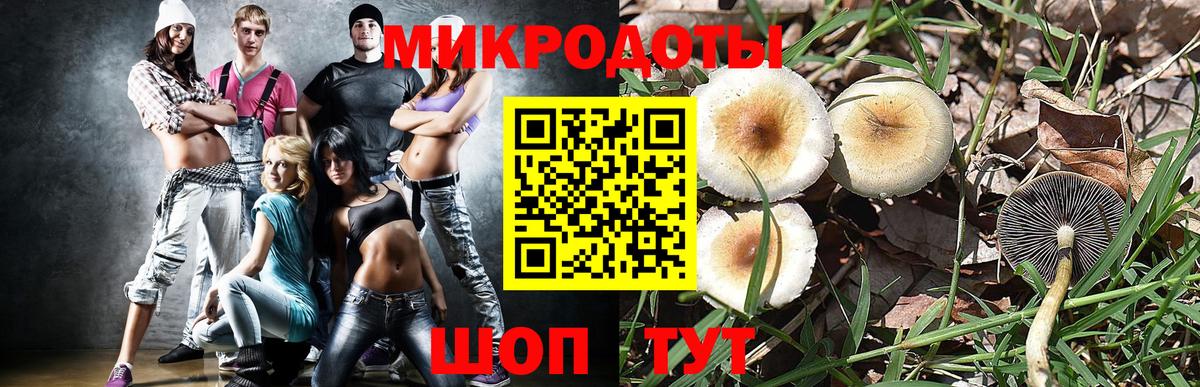 Галлюциногенные грибы мухоморы  Вход с VPN  Мытищи  купить наркоту  Галлюциногенные грибы Psilocybe 